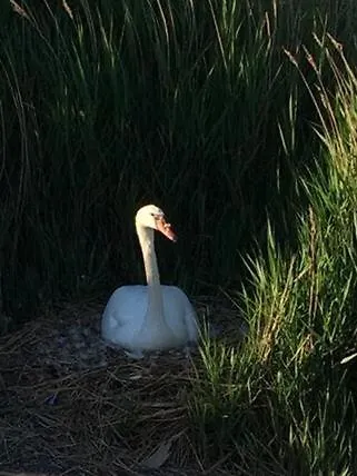 Schimmer דירה Kirchdorf (Poel)